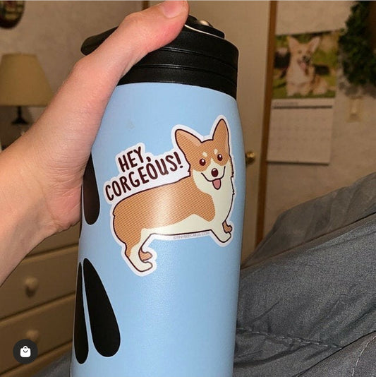 Corgi Dog Vinyl Sticker "Hey Corgeous!" (Tiny Bee)