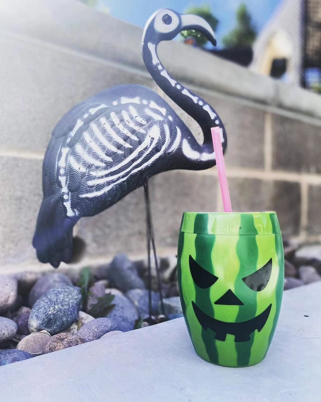 Summerween Tumbler (Jack-o-Melon or Carved Pineapple)