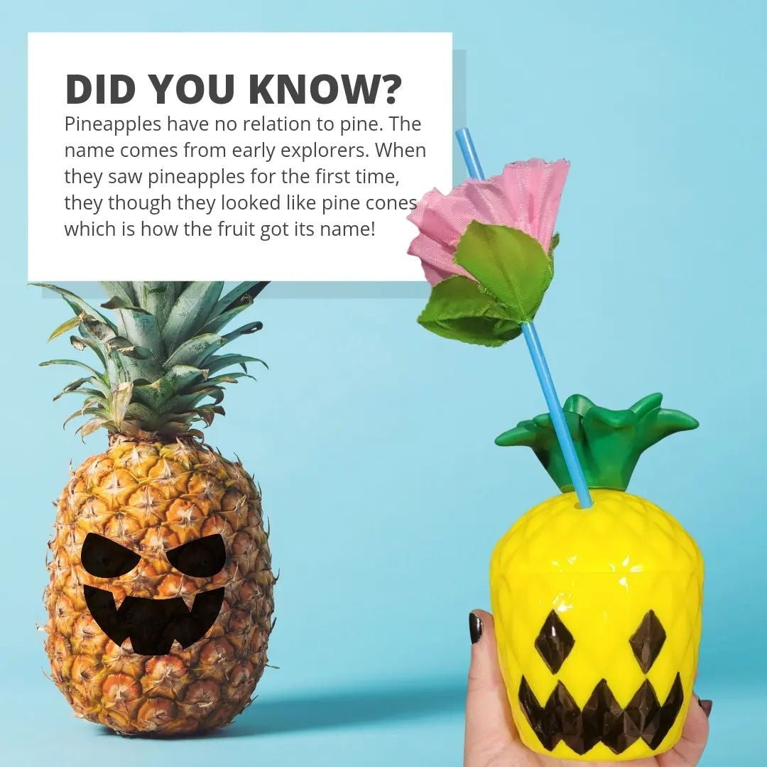Summerween Tumbler (Jack-o-Melon or Carved Pineapple)