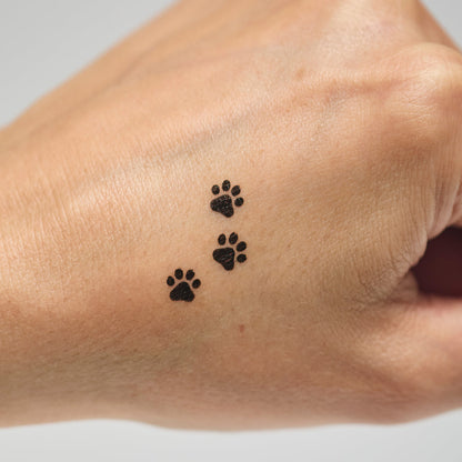 Paw Print Stamp and Eye Liner Makeup (Ashley Hay Design)