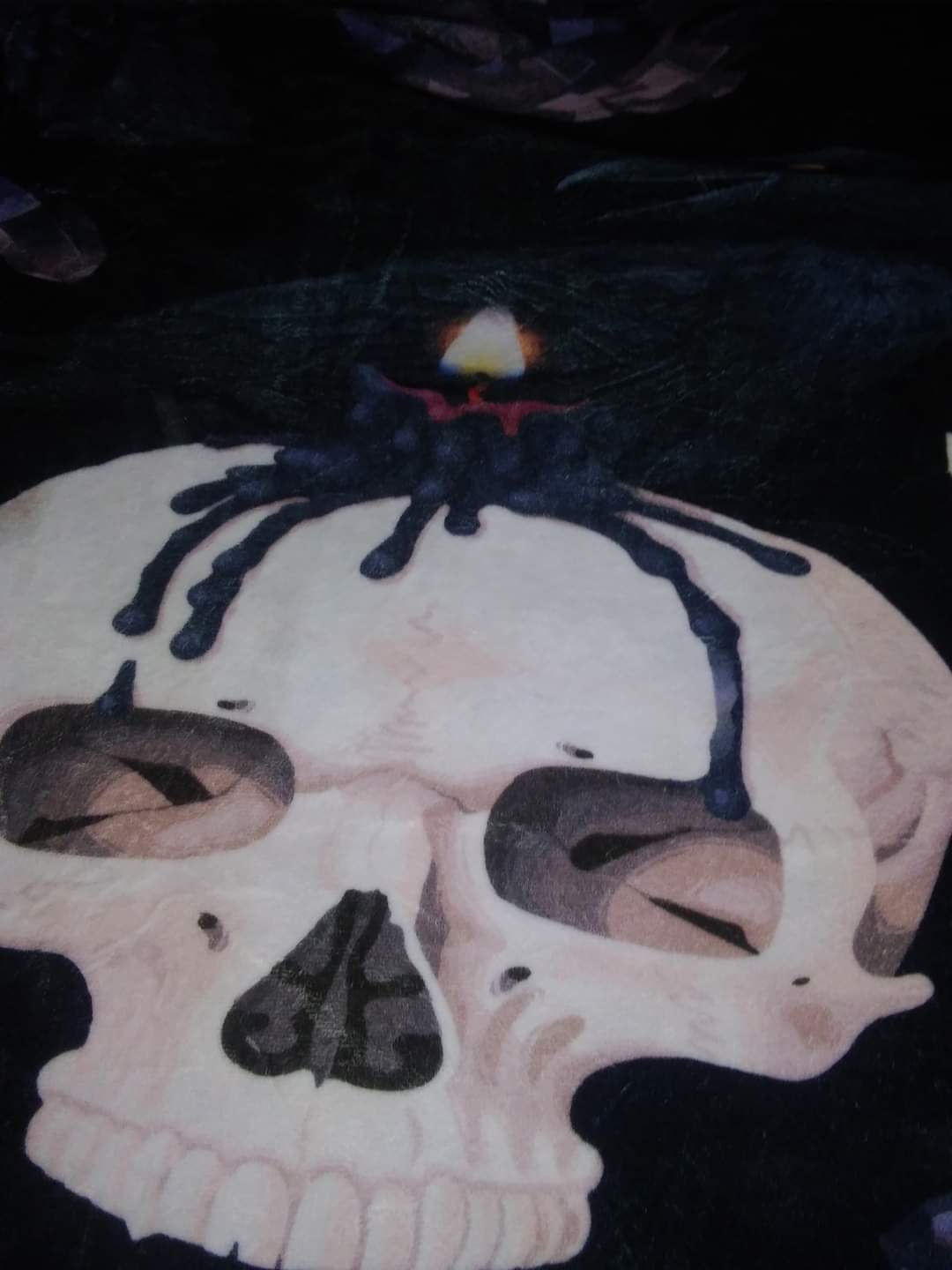 Salem Velveteen Plush Blanket