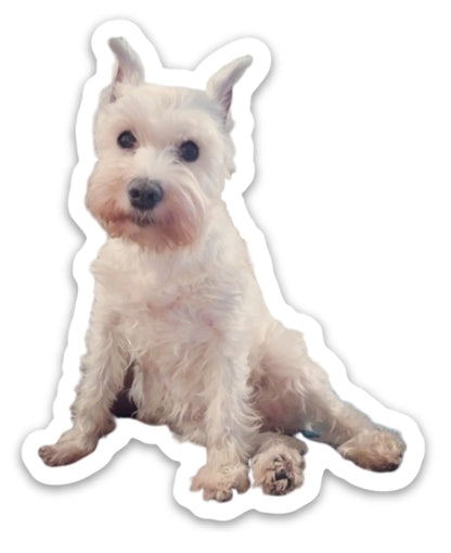 Adele (Former Puppy Mill Mini Schnauzer Mama) Vinyl Sticker