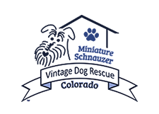 Schnauzer Mom Fundraiser Keychain